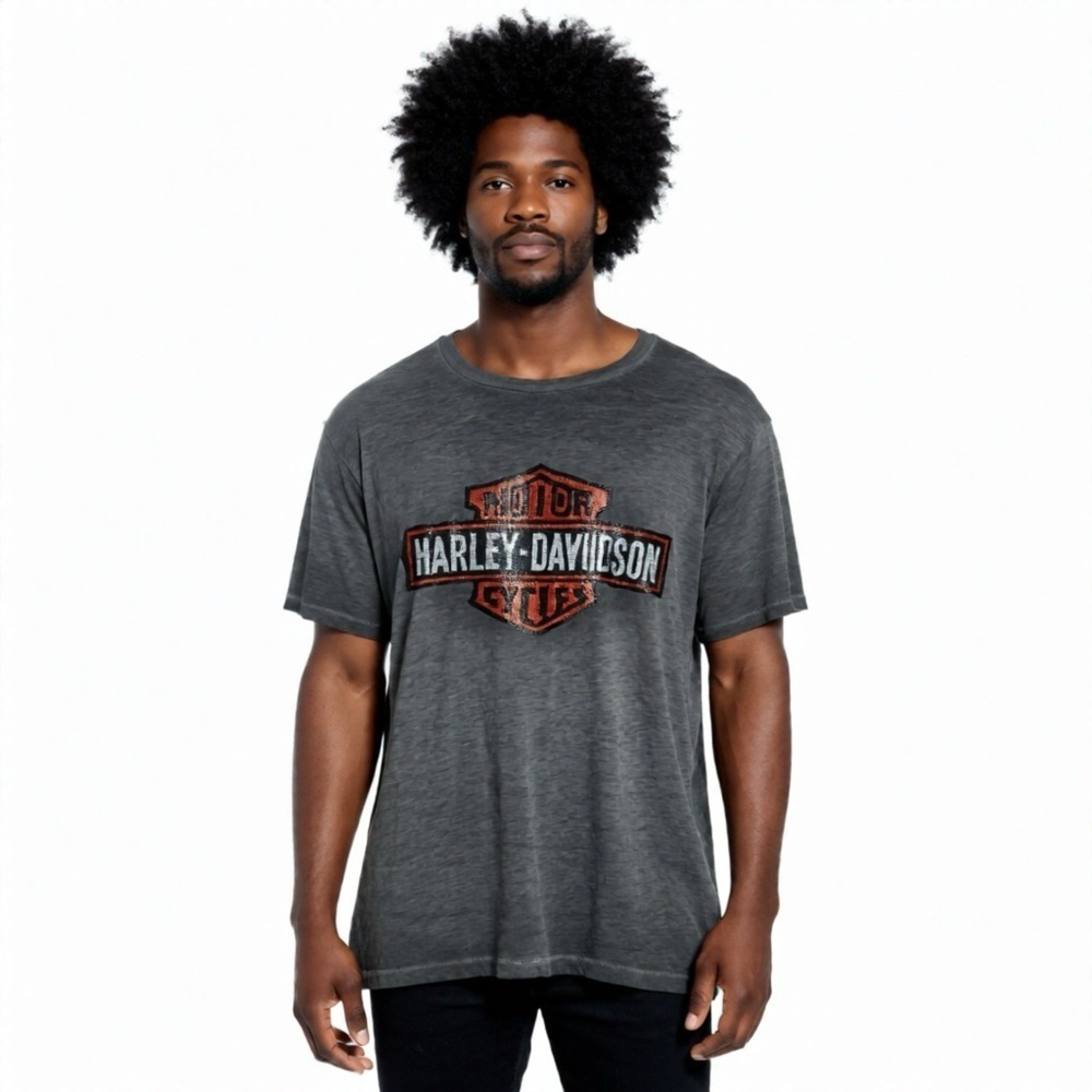 Harley-Davidson Gray Men's T-Shirt Size 2XL